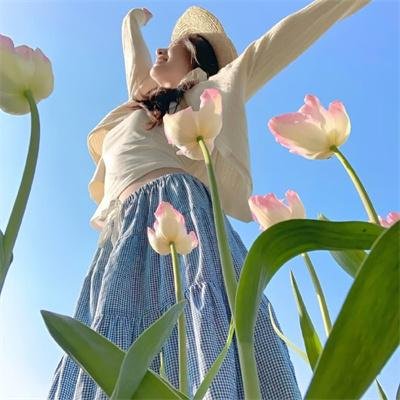风月无边